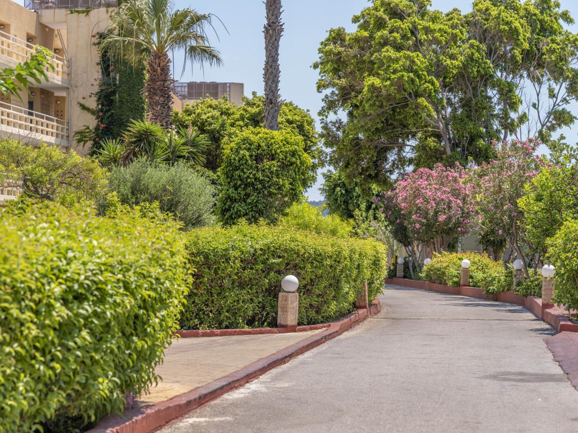 Sunshine Rhodes Hotel Ialysos  Exterior foto